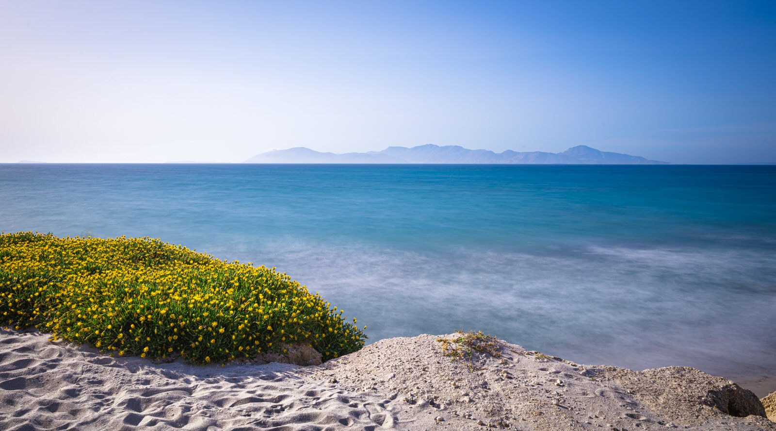A sandy beach with vibrant yellow flowers in the foreground and a calm blue ocean stretching towards distant mountains.