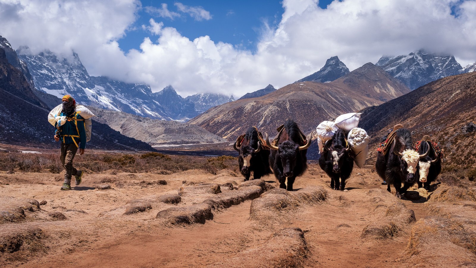 People walking with yaks, transporting goods on the trail to Everest Base Camp in the scenic Nepalese Himalayas.